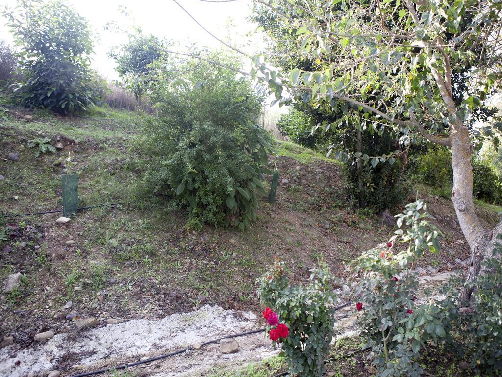 Casa Rural Vega El Dorado San Pablo Eksteriør bilde